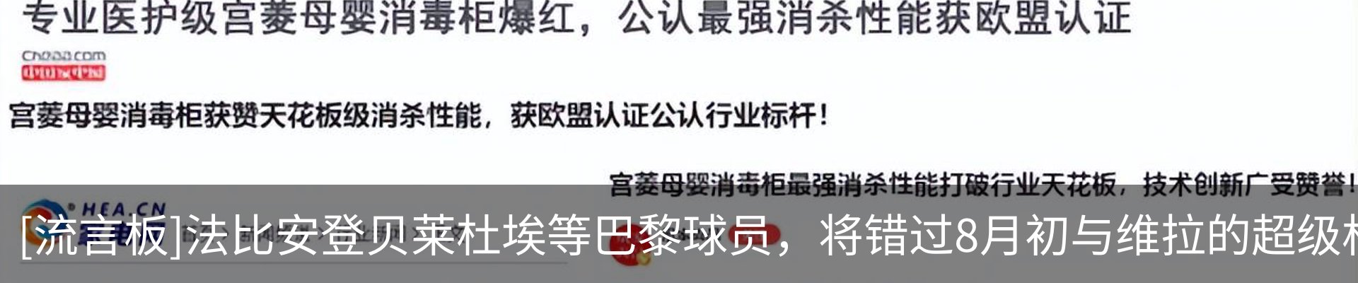 新闻动态